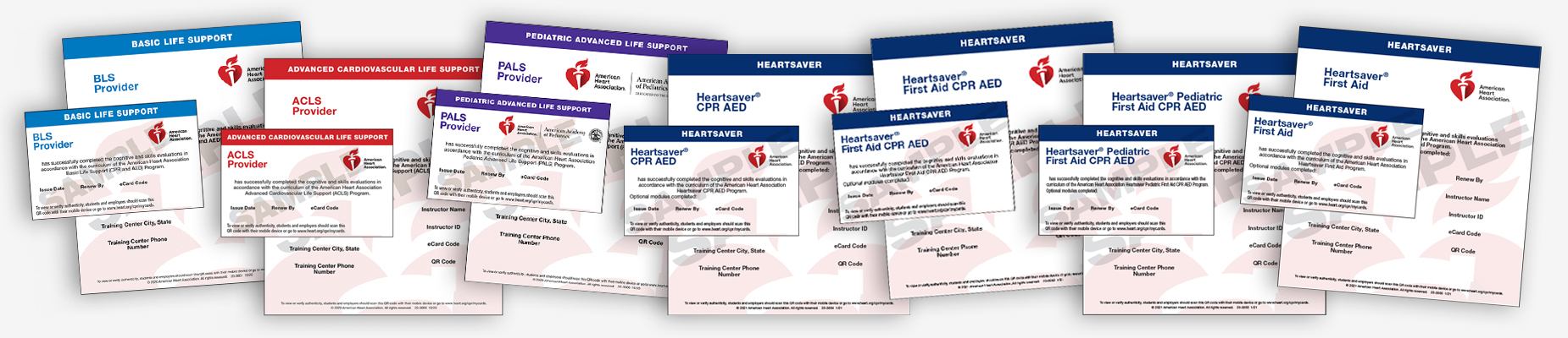 get certified in cpr bls today wpb